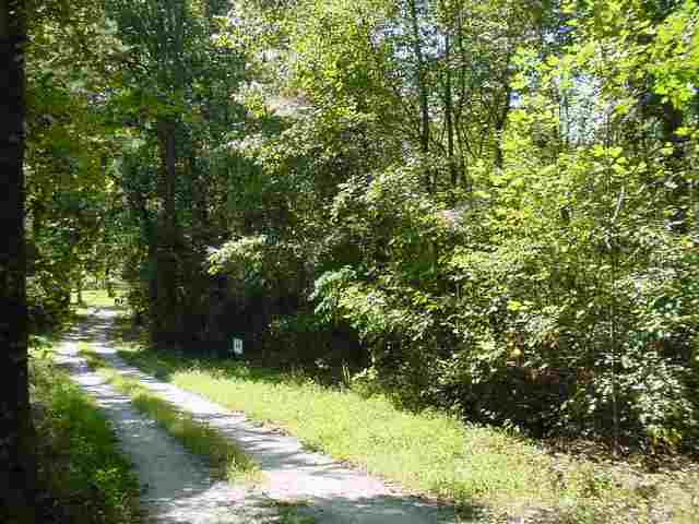 0 Burt Hill Road Salem, SC 29676 - Photo 1 of 2 Gallery Image 1