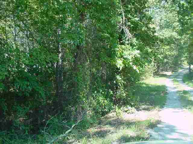 0 Burt Hill Road Salem, SC 29676 - Photo 2 of 2 Gallery Image 2