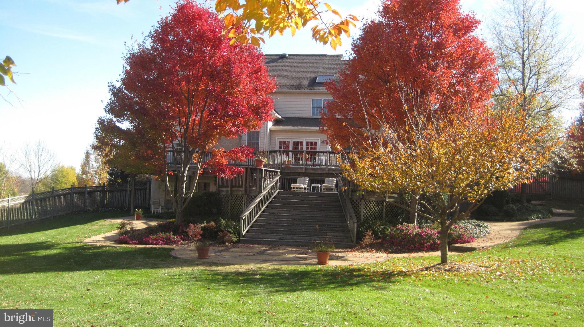 1296 Gatesmeadow Way Reston, VA 20194 - Photo 27 of 29 a view of a garden with a tree