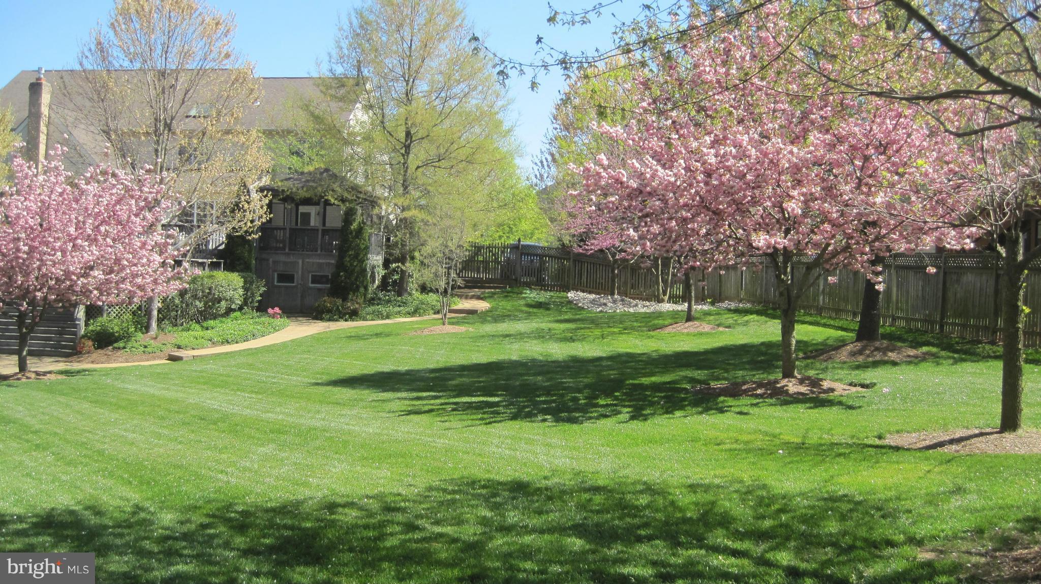 1296 Gatesmeadow Way Reston, VA 20194 - Photo 29 of 29 a view of a park with large trees