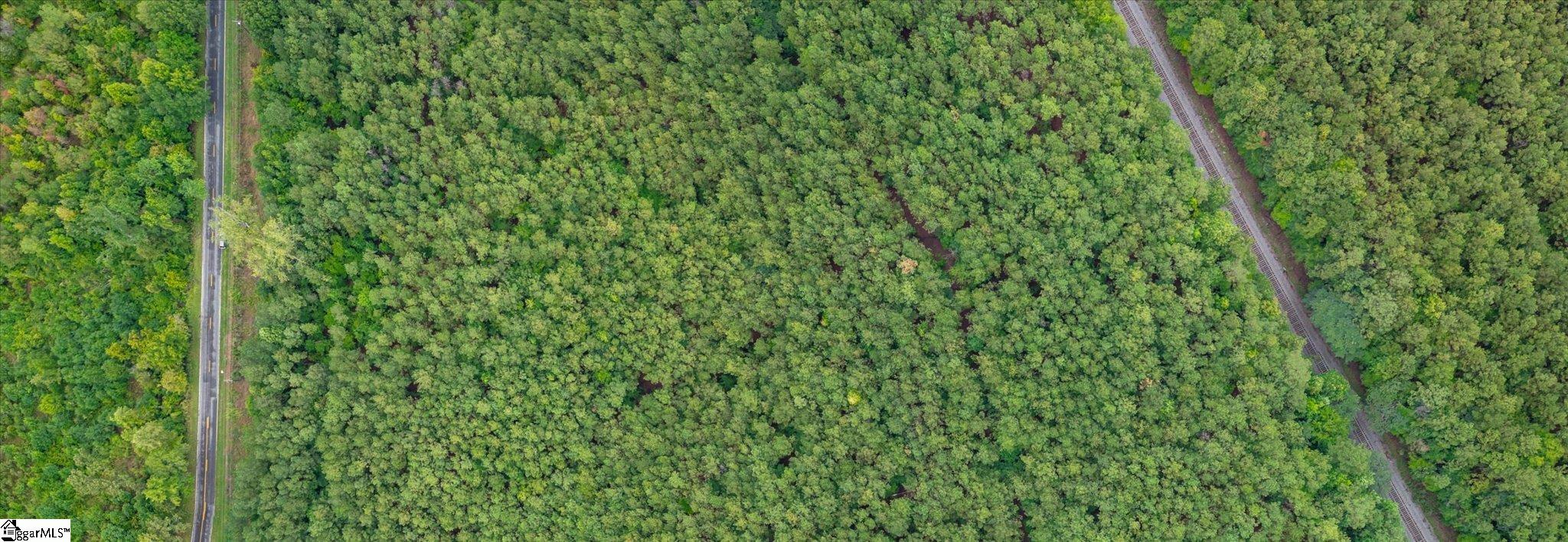 0 Shrine Club Road Waterloo, SC 29384 - Photo 3 of 13