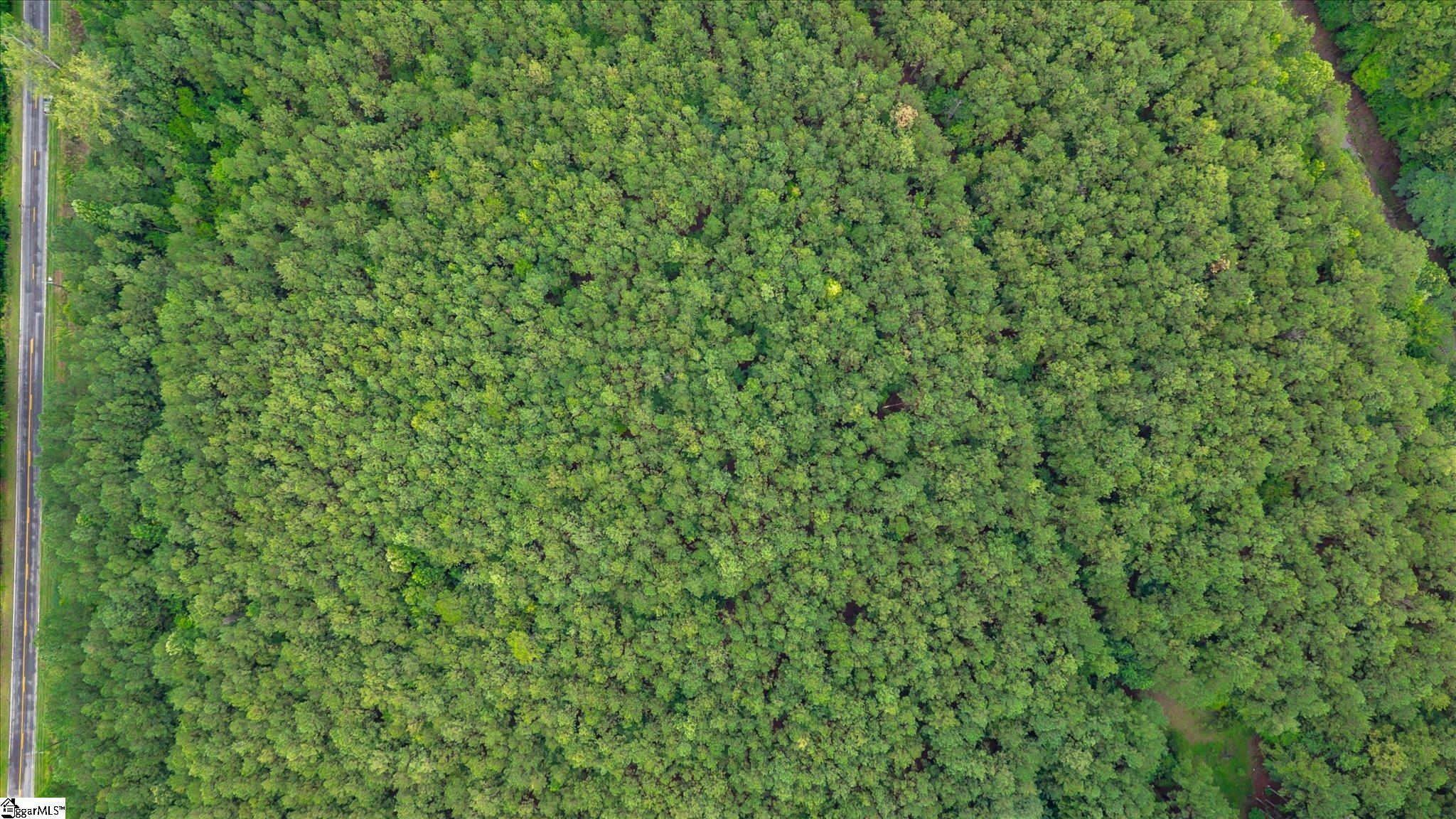 0 Shrine Club Road Waterloo, SC 29384 - Photo 5 of 13