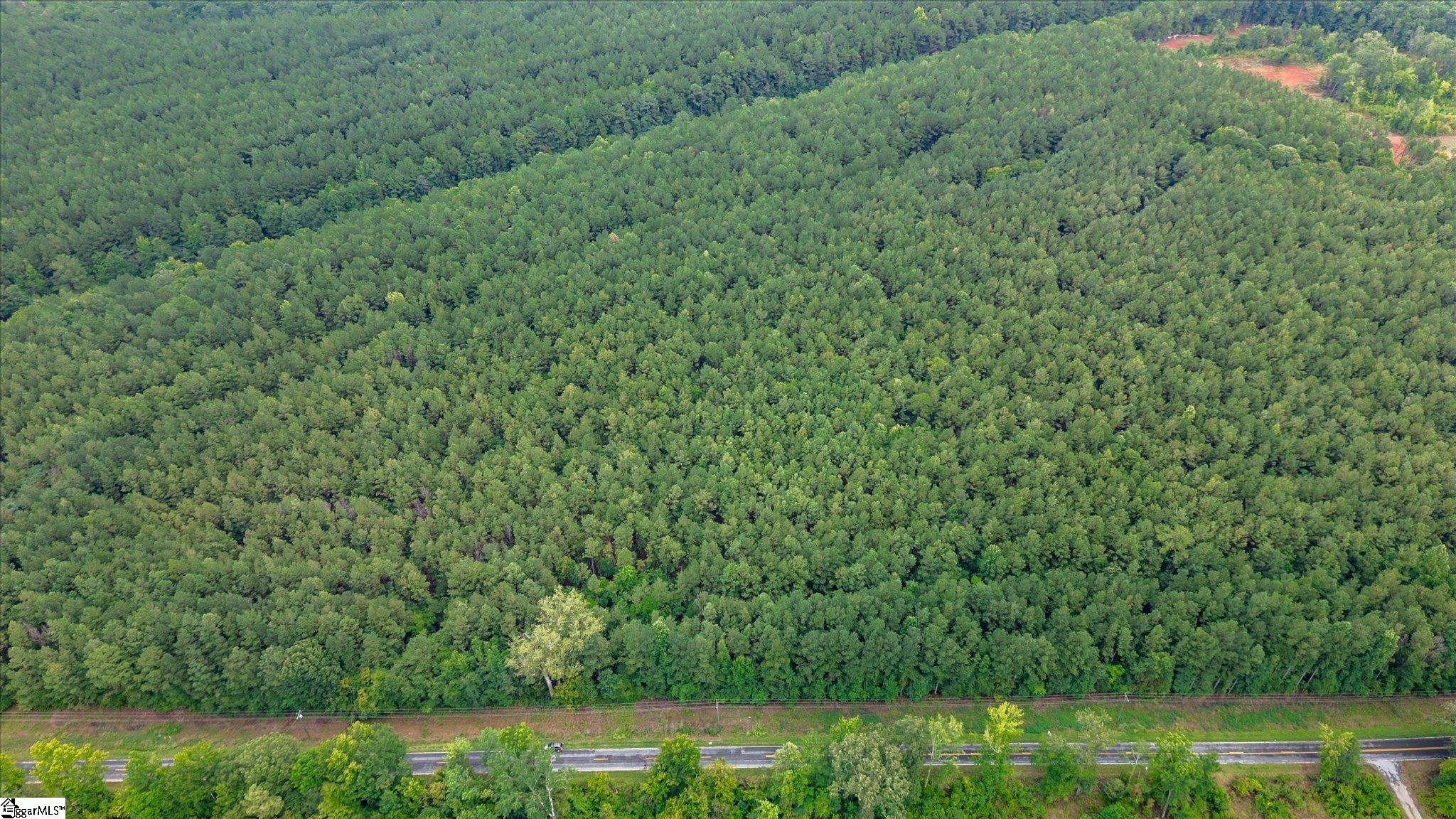 0 Shrine Club Road Waterloo, SC 29384 - Photo 6 of 13