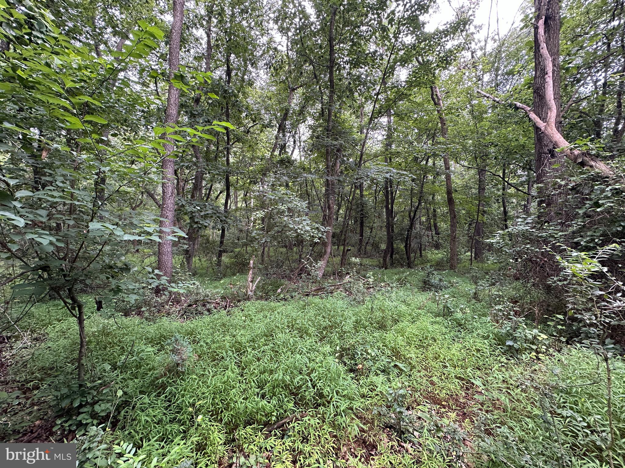 9-acres Polidor Road Waynesboro, PA 17268 - Photo 15 of 20