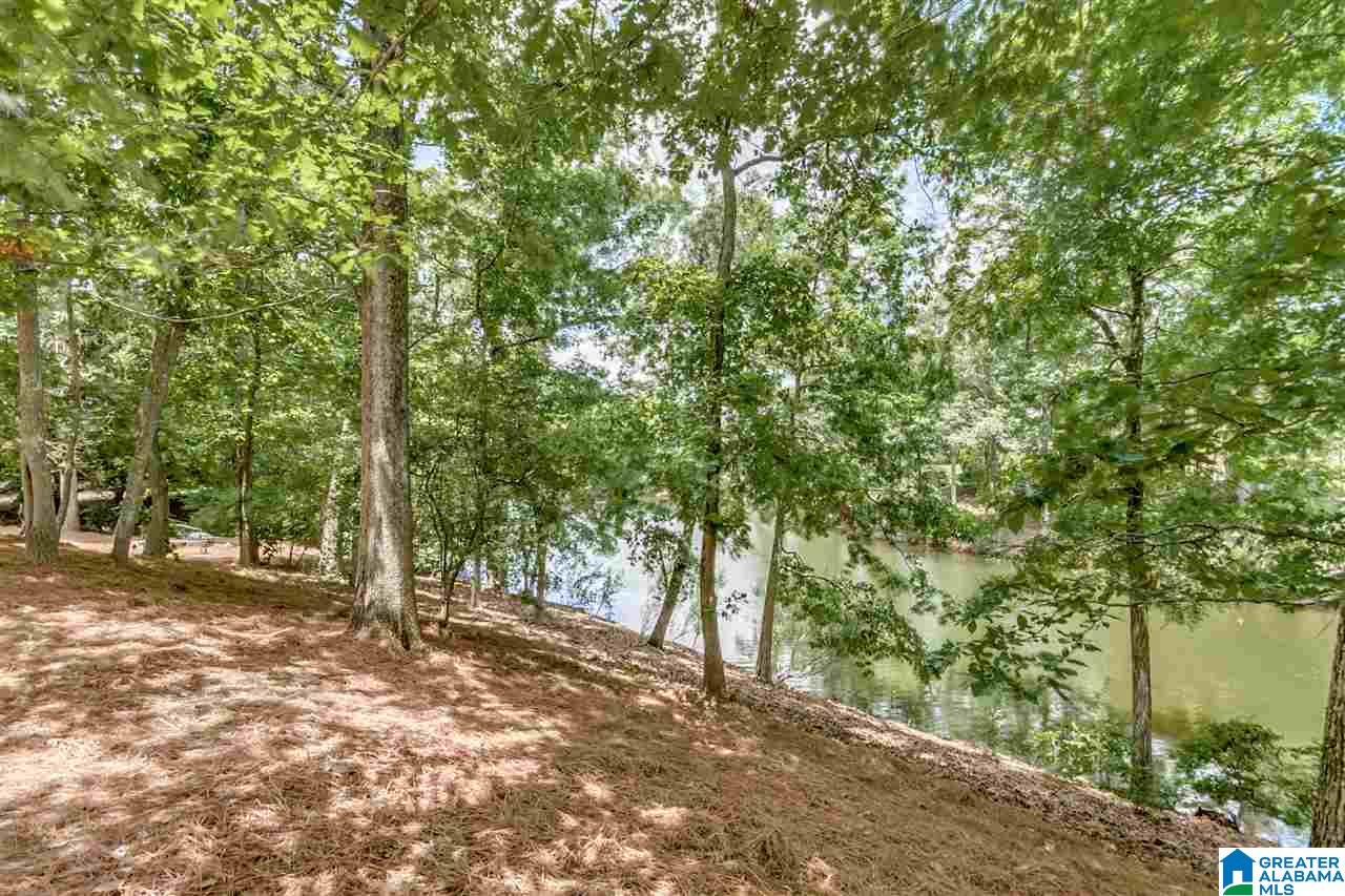 1034 Lake Heather Road Birmingham, AL 35242 - Photo 48 of 50
