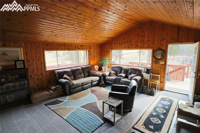 64 Arrowhead Road Florissant, CO 80816 - Photo 2 of 18 Gallery Image 2