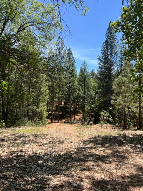 5040 Butterfield Stage Road Georgetown, CA 95634 - Photo 8 of 27 Gallery Image 8