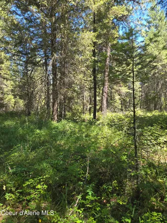 $280,000 | 512 Everett Huff Road, Oldtown, ID 83822