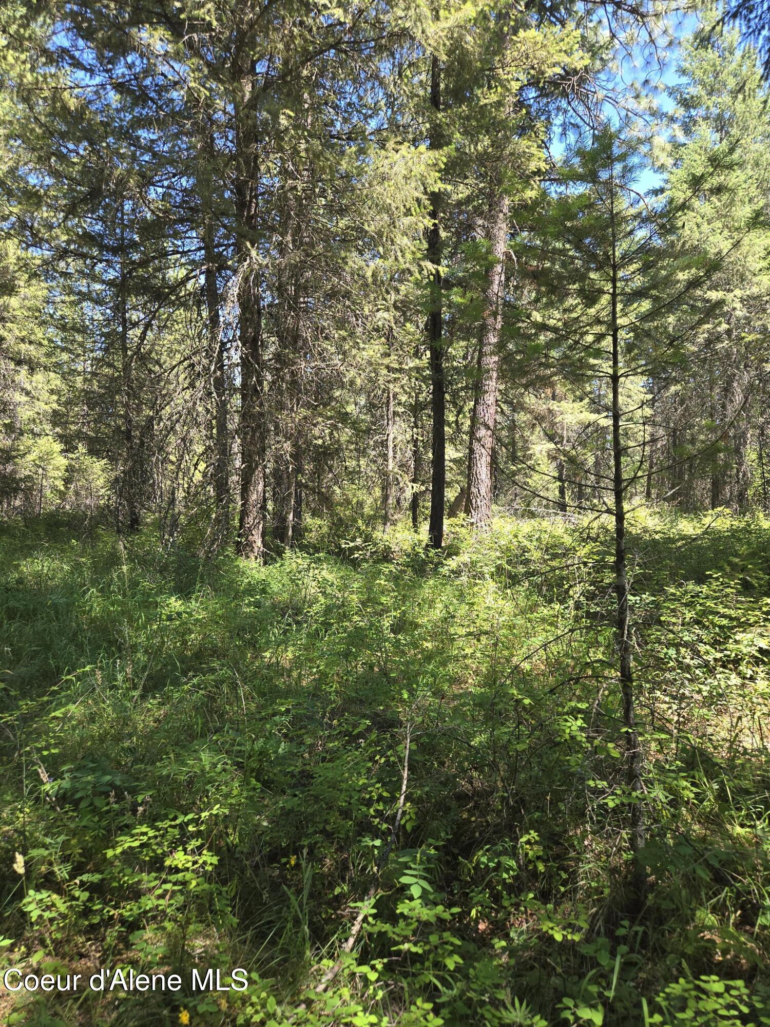 512 Everett Huff Road Oldtown, ID 83822 - Photo 9 of 20 20250713_140006