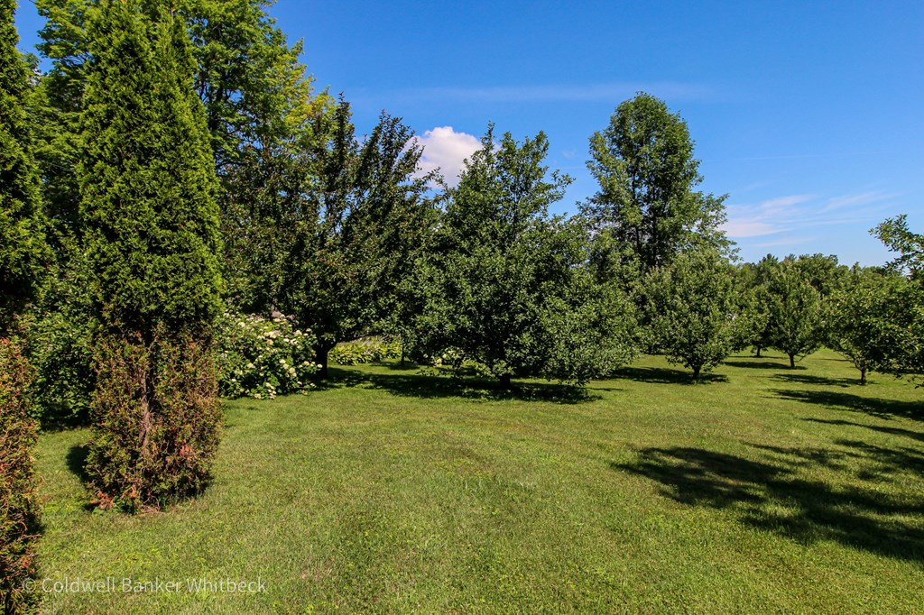 65 Turner Road Morrisonville, NY 12962 - Photo 32 of 42 Gallery Image 32