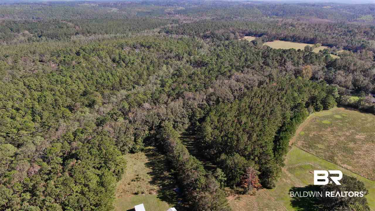 10685 John Little Road Bay Minette, AL 36507 - Photo 13 of 16