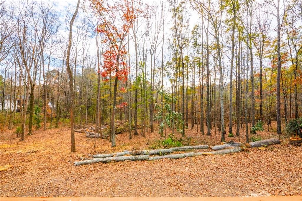 4967 Macland Road Powder Springs, GA 30127 - Photo 53 of 55