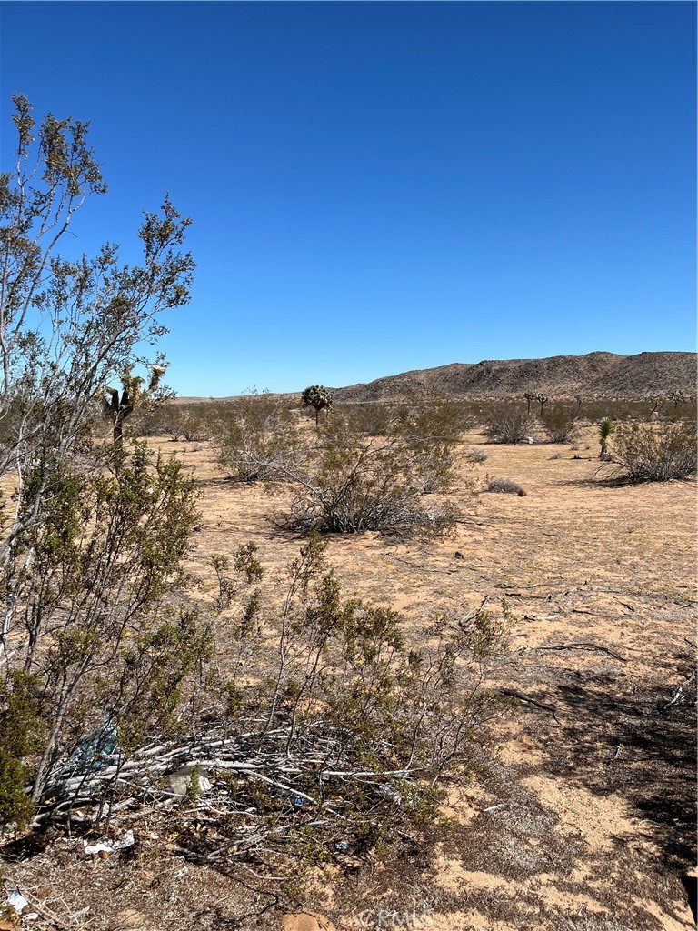 0 Avalon Landers, CA 92285 - Photo 2 of 7