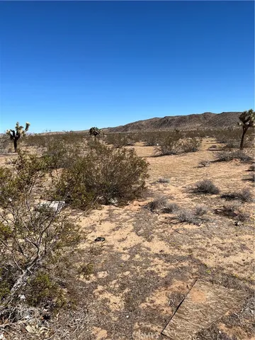 $59,000 | 0 Avalon, Landers, CA 92285