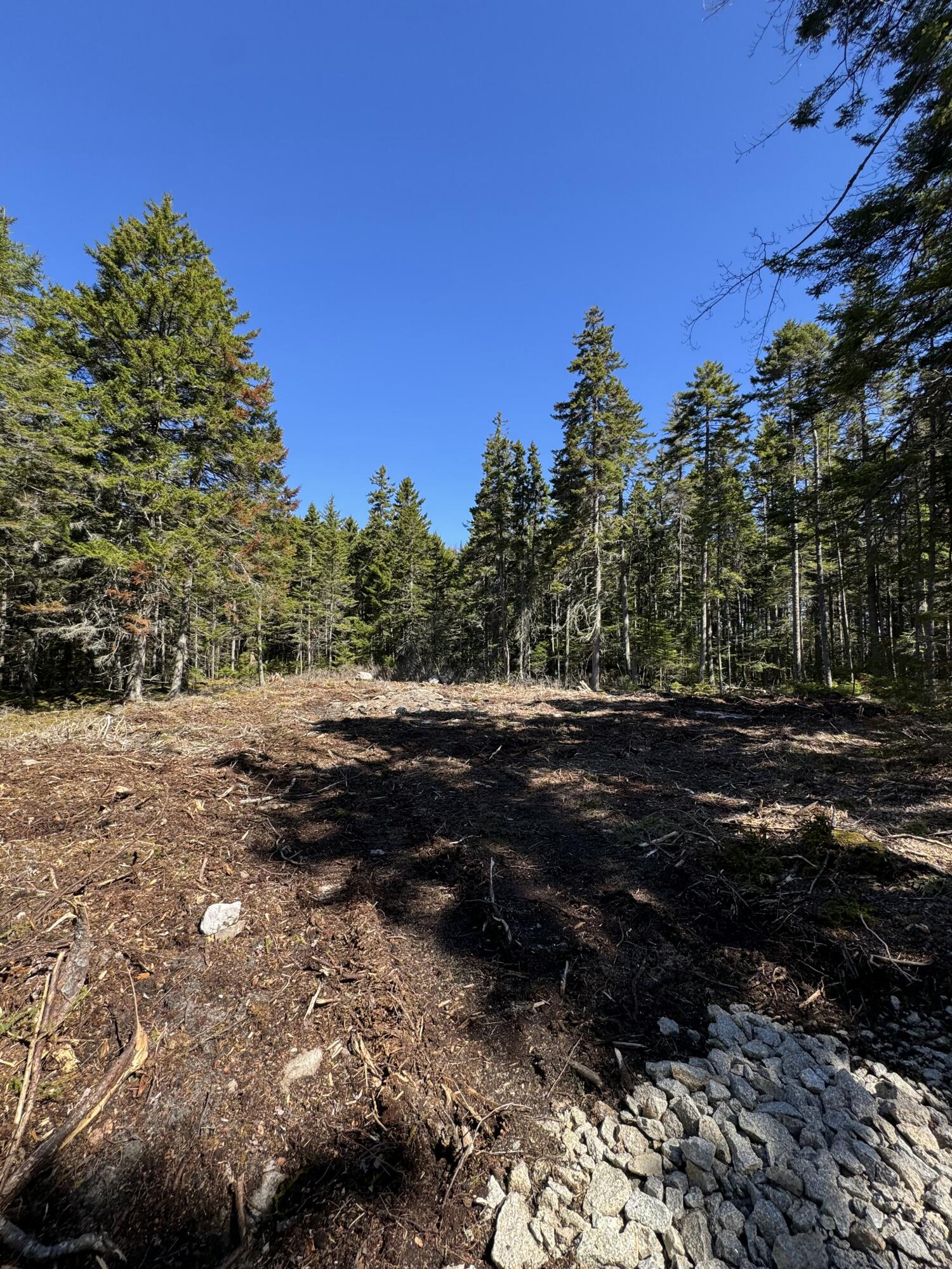 12 Jamestown Road Vinalhaven, ME 04863 - Photo 5 of 17