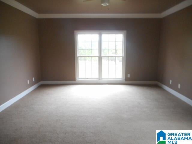2973 Sprayberry Road Pell City, AL 35125 - Photo 10 of 23