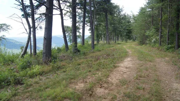$1,395,000 | 2070 River Bluffs Drive, Jasper, TN 37347