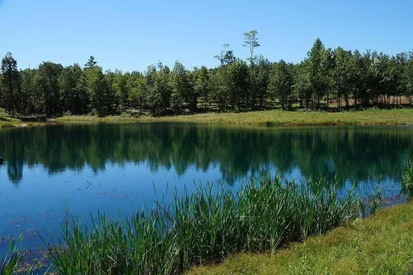 $1,395,000 | 2070 River Bluffs Drive, Jasper, TN 37347