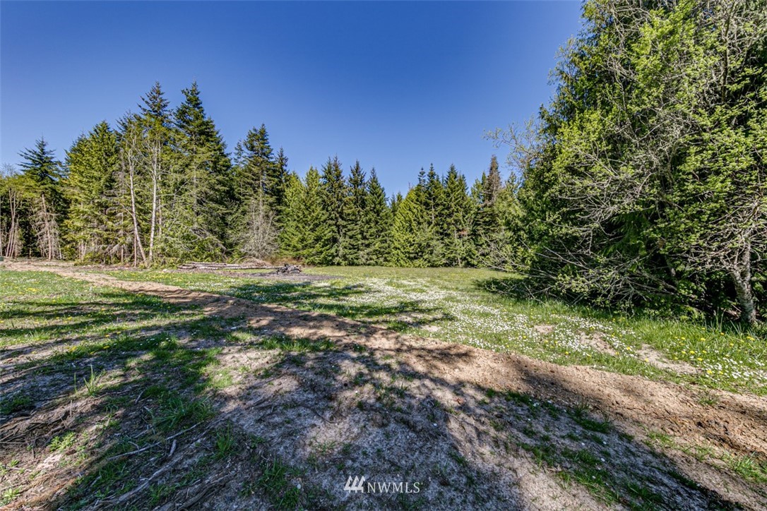 3 O'brien Rd Port Port Angeles, WA 98362 - Photo 12 of 26 a view of a field with trees in the background