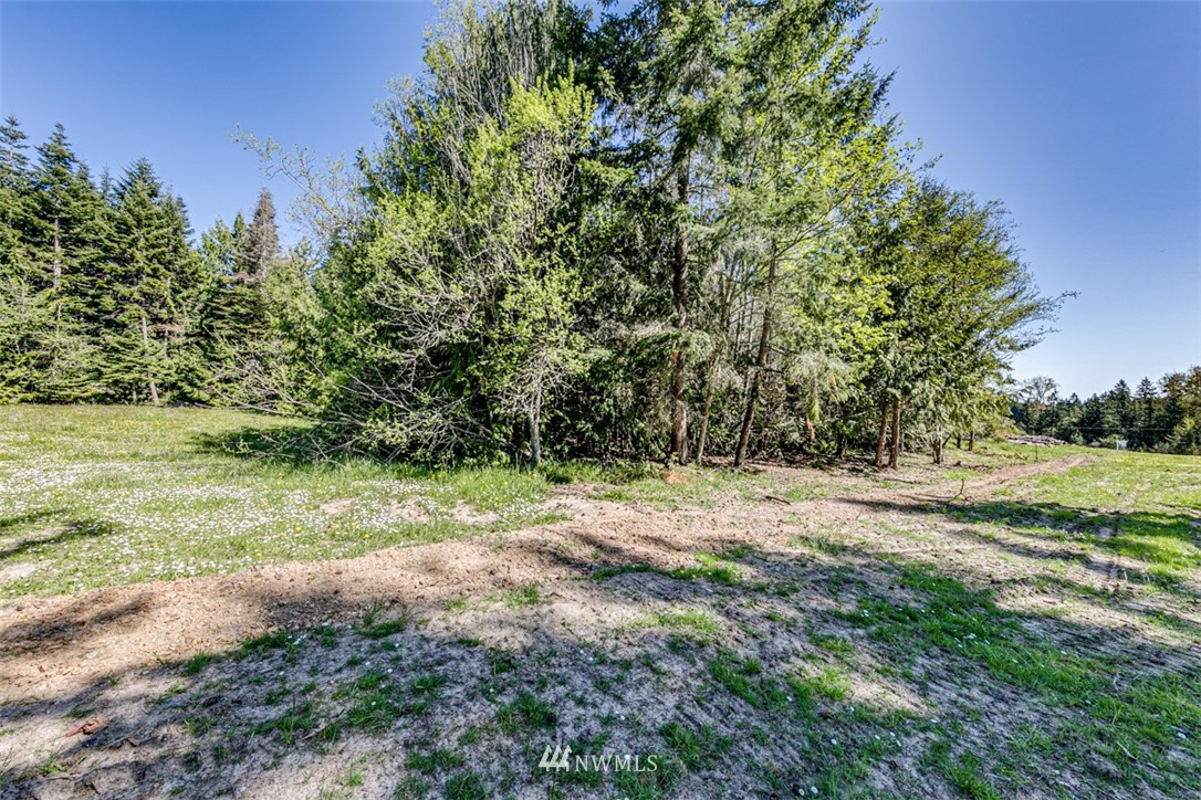 3 O'brien Rd Port Port Angeles, WA 98362 - Photo 13 of 26 a view of outdoor space with trees all around