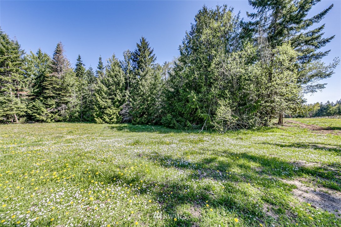 3 O'brien Rd Port Port Angeles, WA 98362 - Photo 14 of 26 a view of outdoor space and yard
