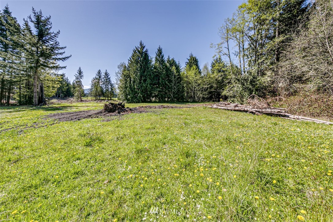 3 O'brien Rd Port Port Angeles, WA 98362 - Photo 15 of 26 a view of a field with trees in the background