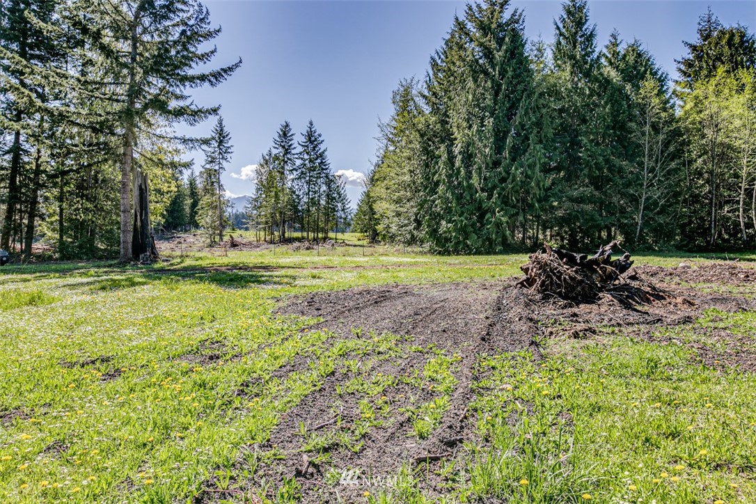 3 O'brien Rd Port Port Angeles, WA 98362 - Photo 16 of 26 a view of a park with large trees