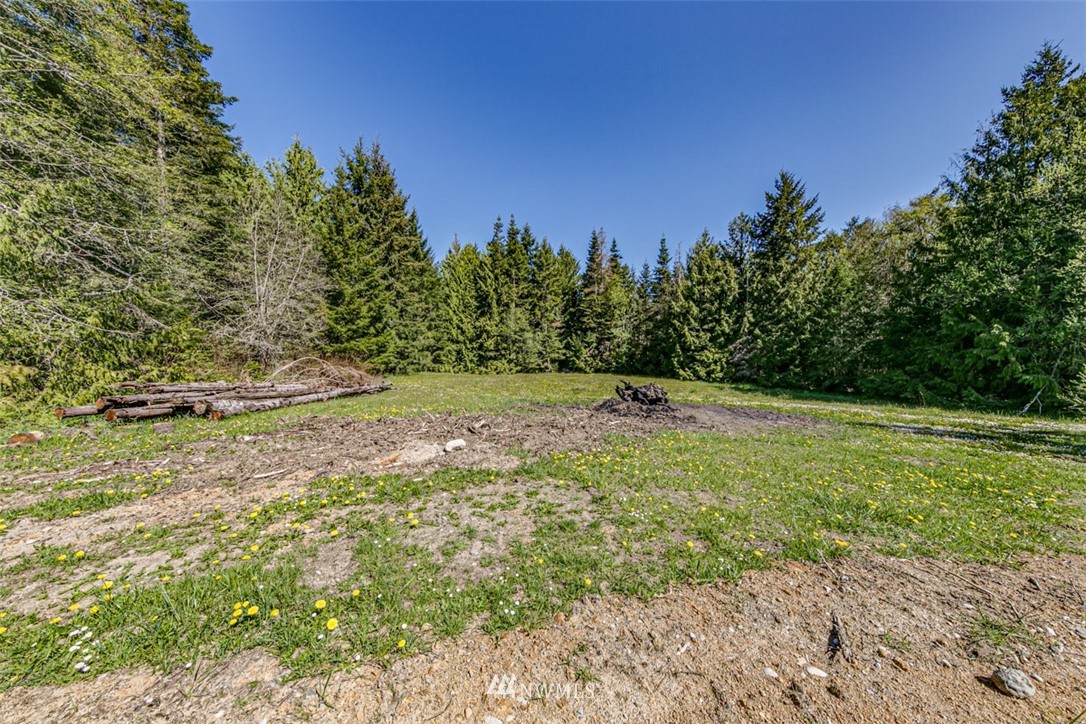 3 O'brien Rd Port Port Angeles, WA 98362 - Photo 17 of 26 a view of outdoor space with trees all around
