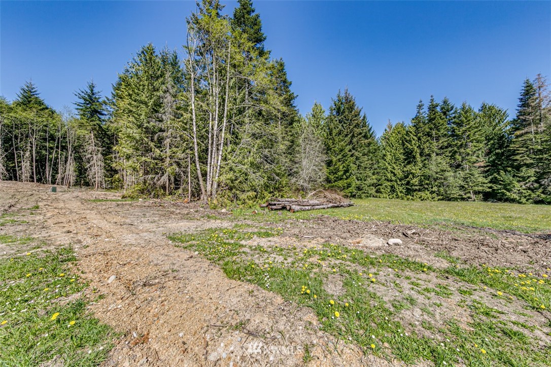 3 O'brien Rd Port Port Angeles, WA 98362 - Photo 18 of 26 a view of a yard with trees