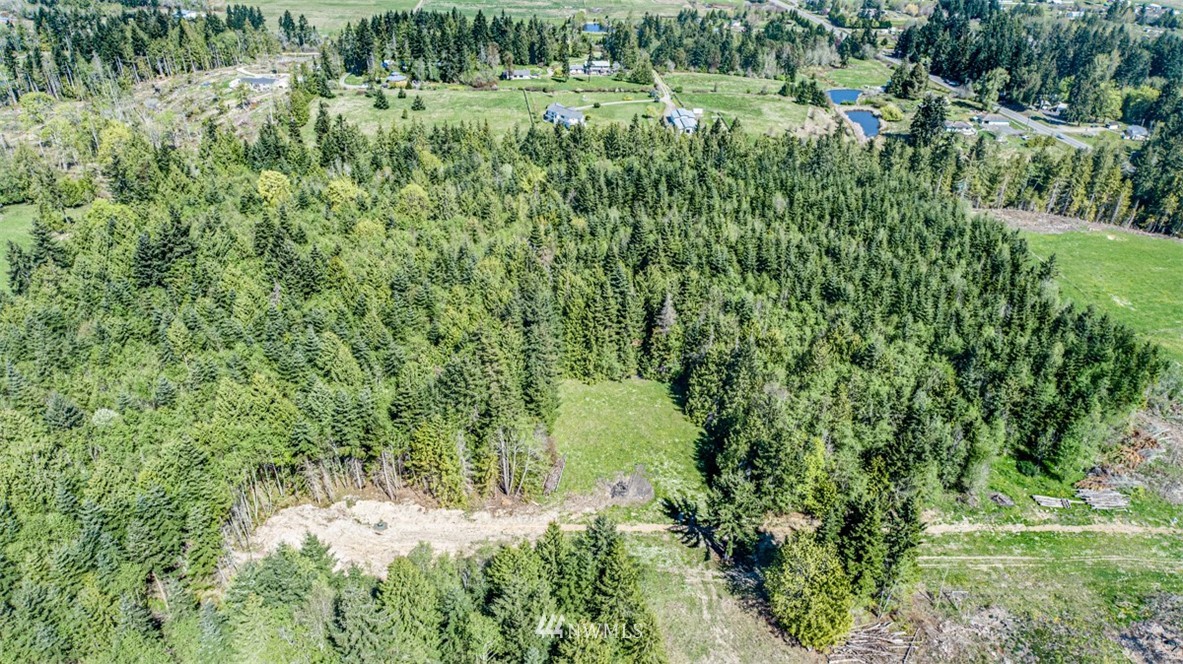 3 O'brien Rd Port Port Angeles, WA 98362 - Photo 21 of 26 a view of a lush green forest with lots of trees