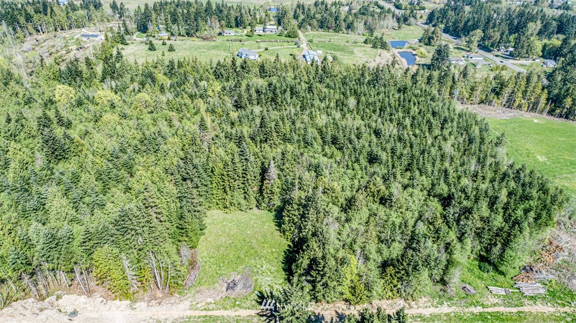 3 O'brien Rd Port Port Angeles, WA 98362 - Photo 22 of 26 a view of a lush green space