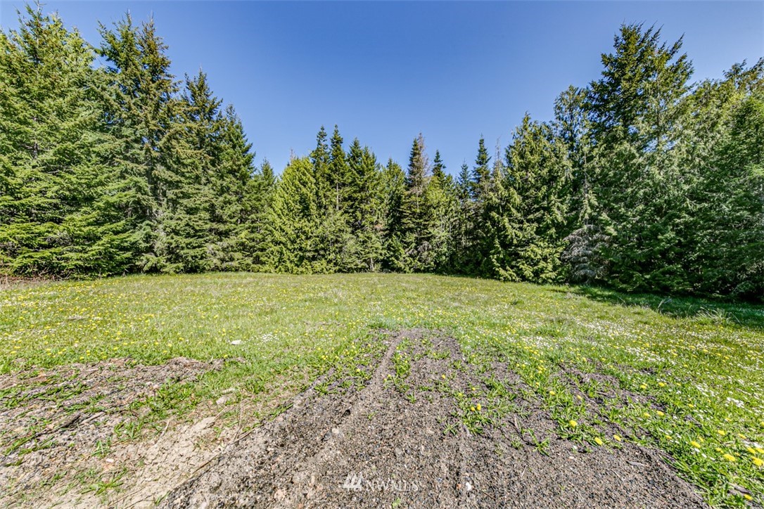 3 O'brien Rd Port Port Angeles, WA 98362 - Photo 4 of 26 a view of yard with green space