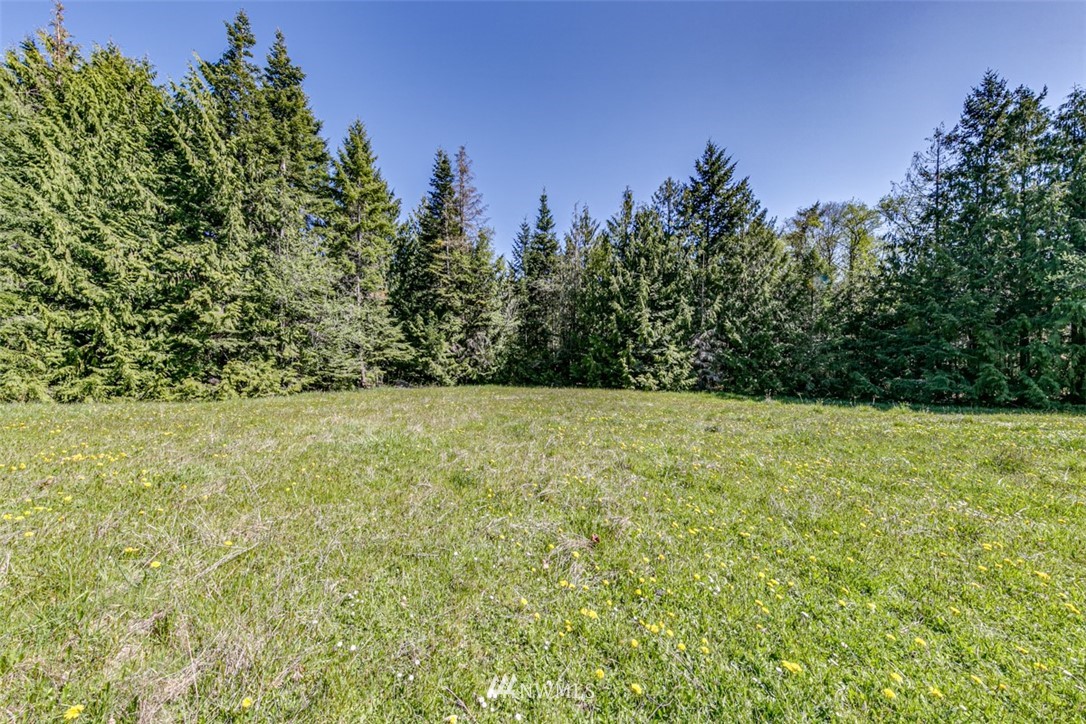 3 O'brien Rd Port Port Angeles, WA 98362 - Photo 5 of 26 a view of outdoor space and yard