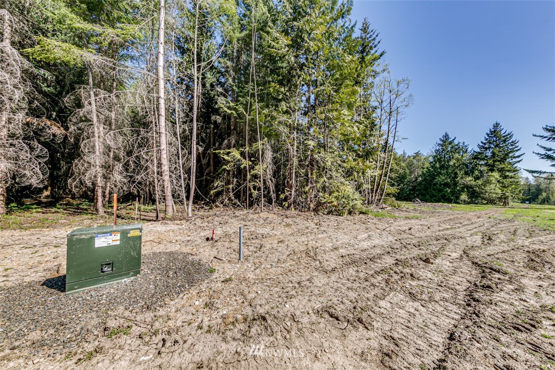 3 O'brien Rd Port Port Angeles, WA 98362 - Photo 6 of 26 a view of a backyard with large trees