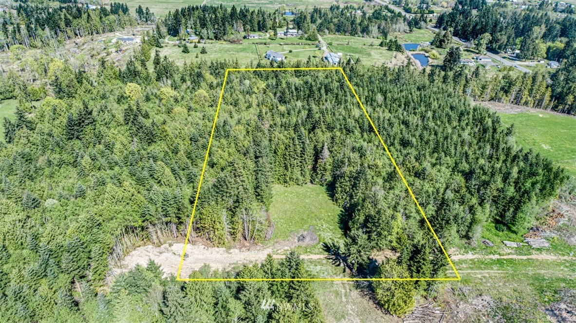 3 O'brien Rd Port Port Angeles, WA 98362 - Photo 7 of 26 a view of a lush green forest with lots of trees
