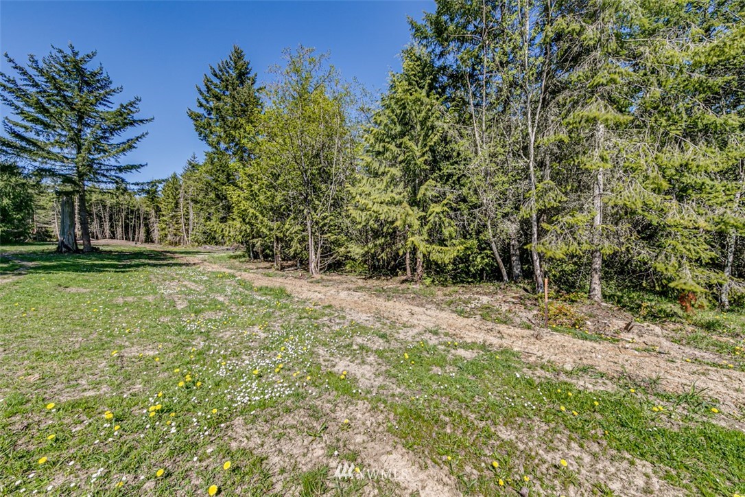 3 O'brien Rd Port Port Angeles, WA 98362 - Photo 9 of 26 a view of a yard with plants and trees