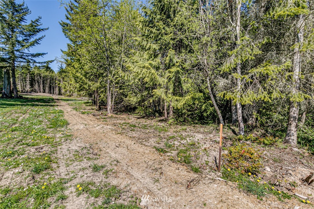 3 O'brien Rd Port Port Angeles, WA 98362 - Photo 10 of 26 a view of a yard with plants and trees