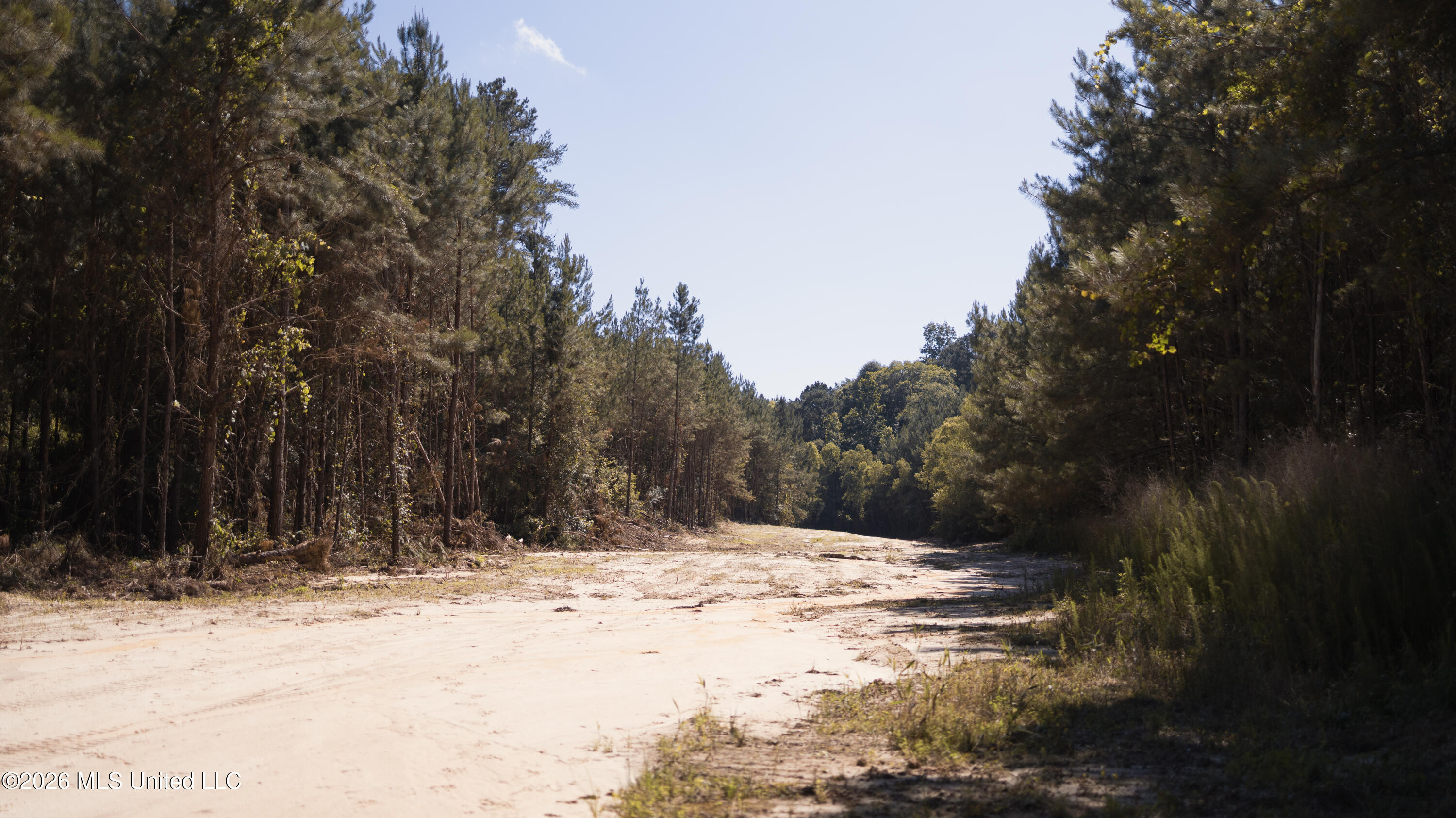 Northwest Ben Briggs Road Northwest Roxie, MS 39661 - Photo 12 of 17 570A2219