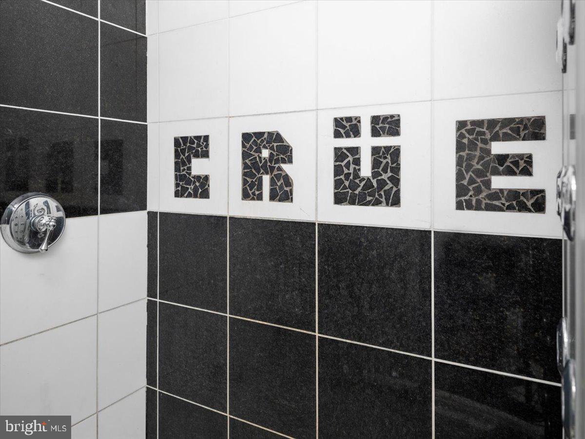 3533 State Rte 2012 Union Dale, PA 18470 - Photo 31 of 57 Motley Crüe suite shower with Crüe detail