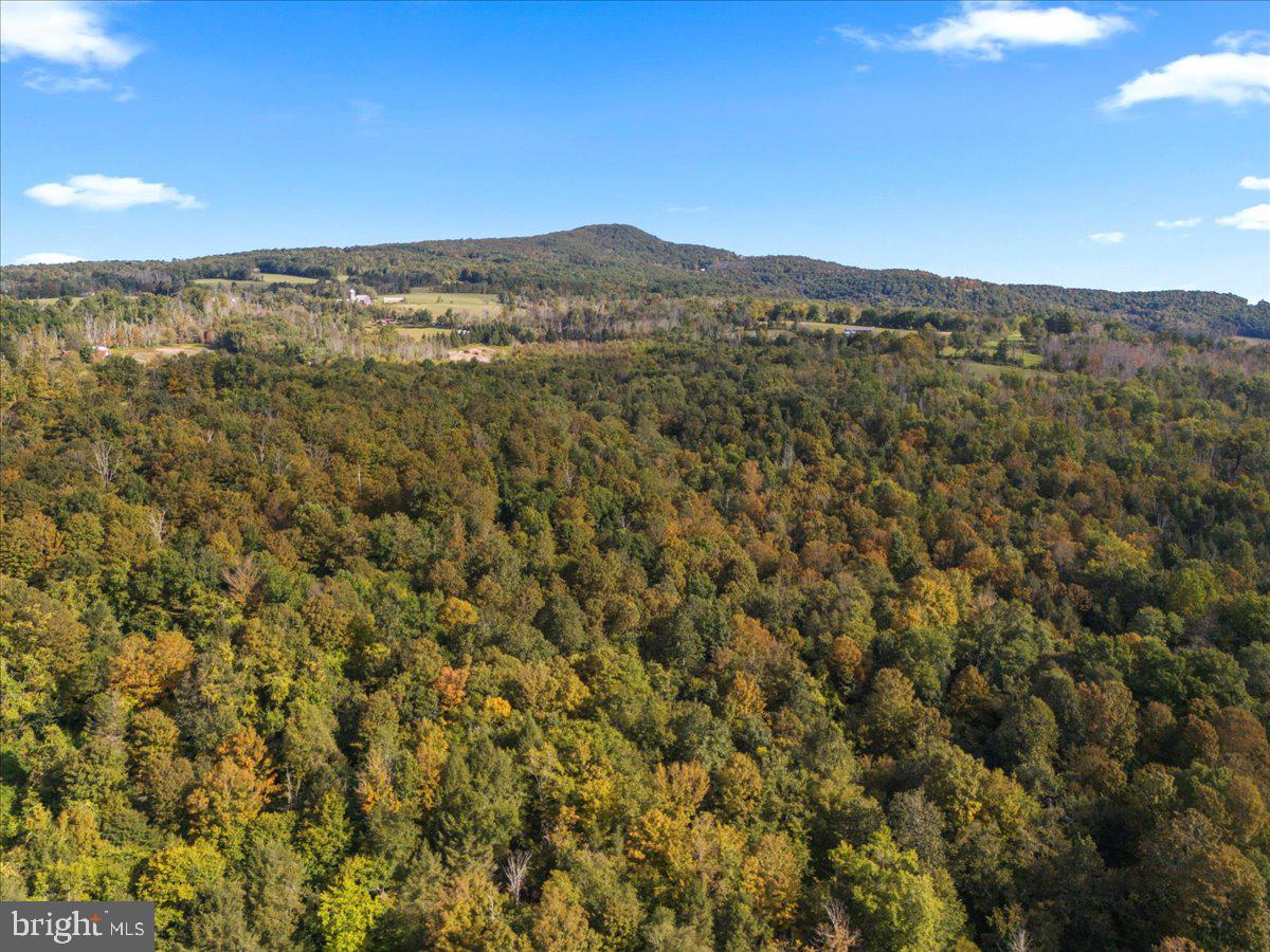 3533 State Rte 2012 Union Dale, PA 18470 - Photo 41 of 57 Mountain views over wooded acreage