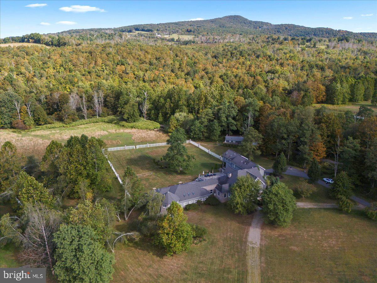 3533 State Rte 2012 Union Dale, PA 18470 - Photo 43 of 57 Wooded acreage surrounding estate
