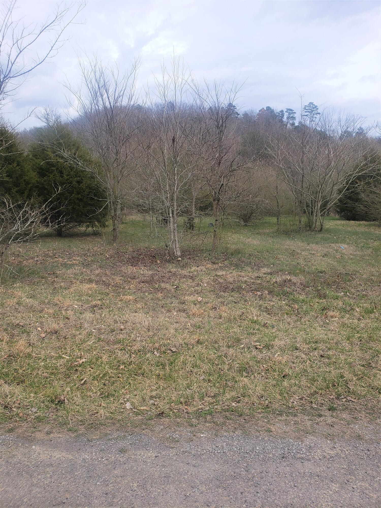 249 Daus Mill Road Dunlap, TN 37327 - Photo 2 of 2 Gallery Image 2