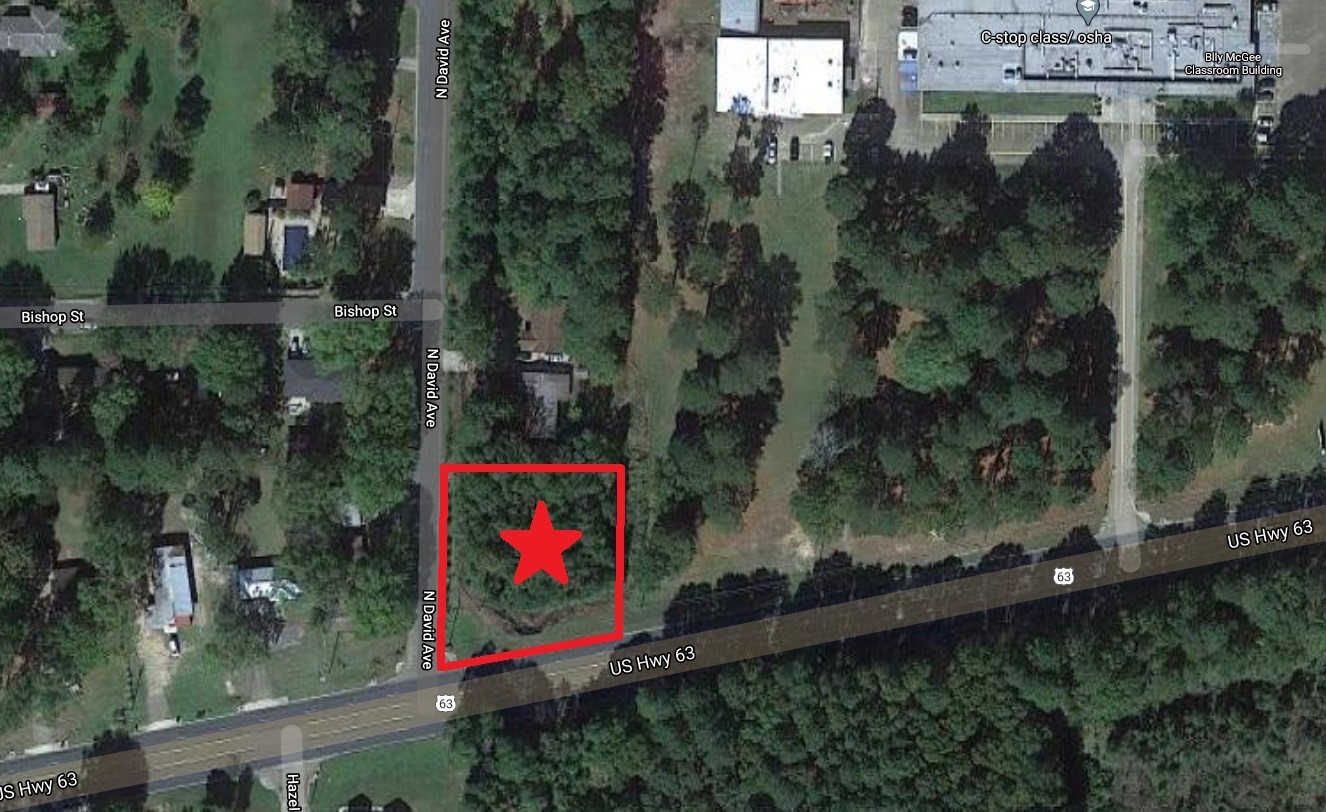 0 US Highway 63 Other, AR 71730 - Photo 2 of 3 an aerial view of swimming pool and outdoor space