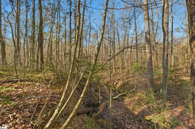 $449,899 | 132 Deer Creek Court, Easley, SC 29642