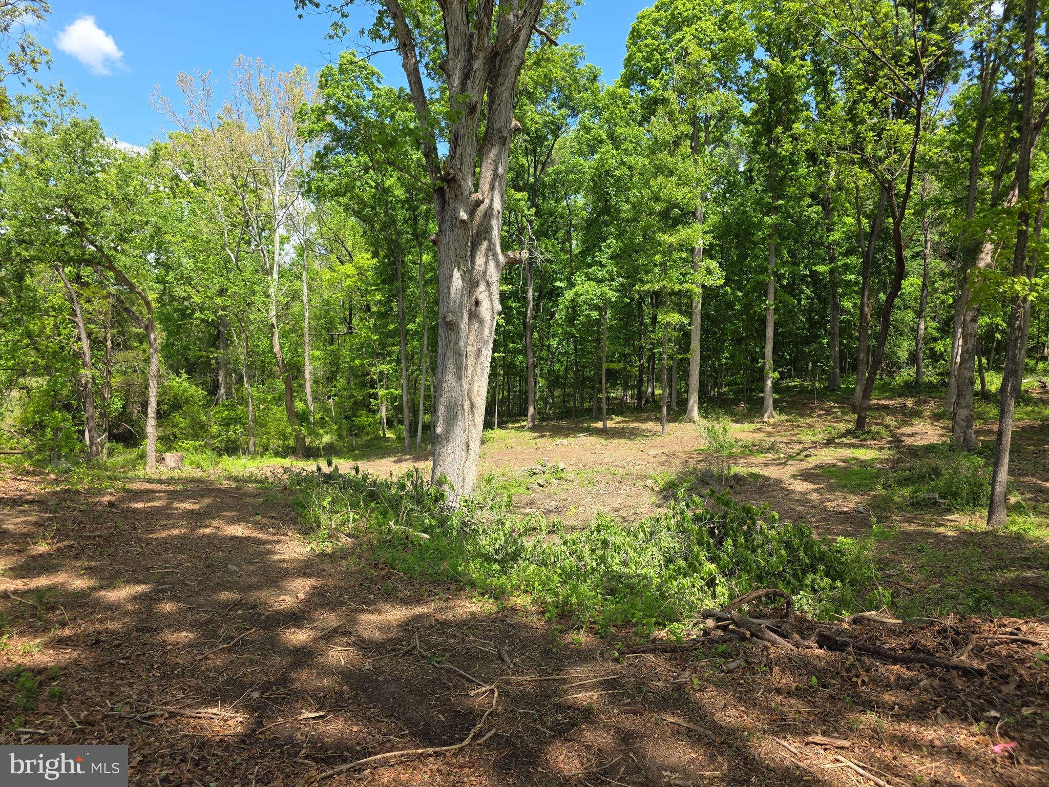 Leigh Road Warrenton, VA 20186 - Photo 3 of 11 a view of outdoor space with trees