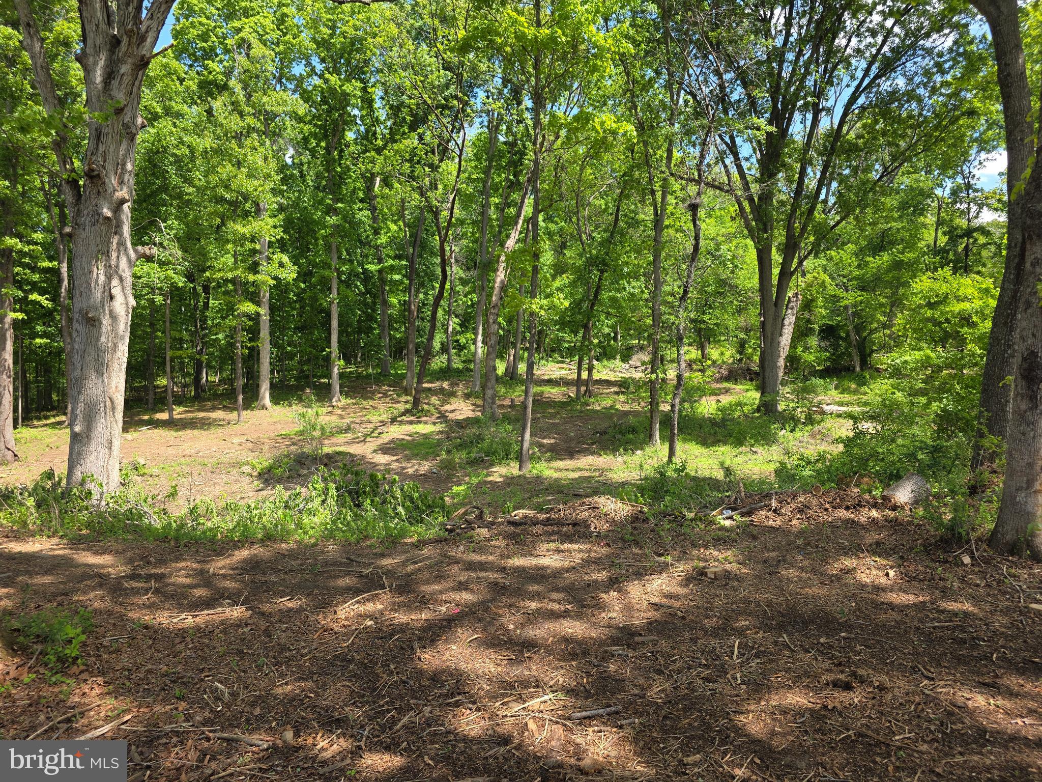 Leigh Road Warrenton, VA 20186 - Photo 5 of 11 a backyard of a house with lots of green space