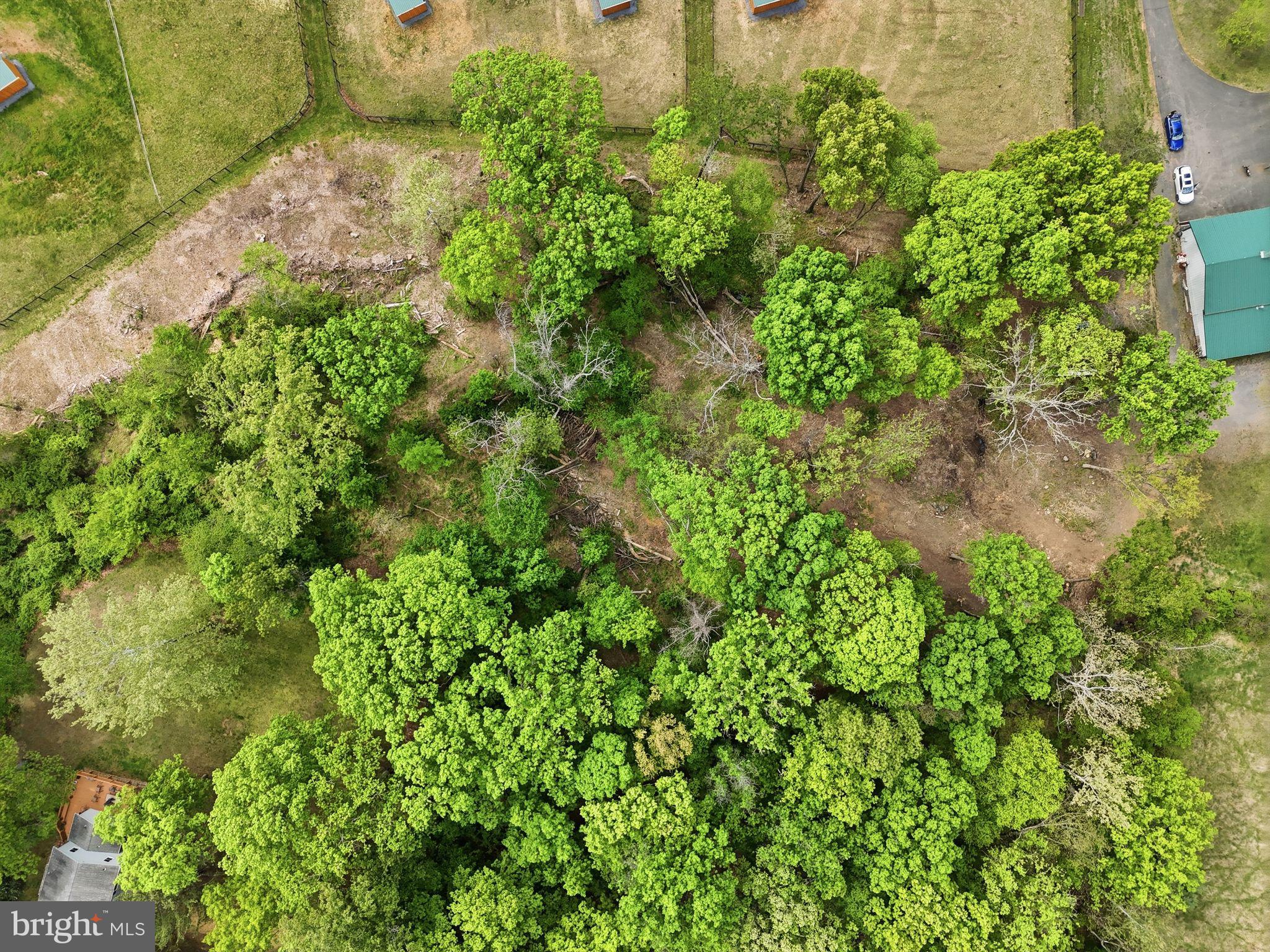 Leigh Road Warrenton, VA 20186 - Photo 10 of 11 a view of a garden with a building