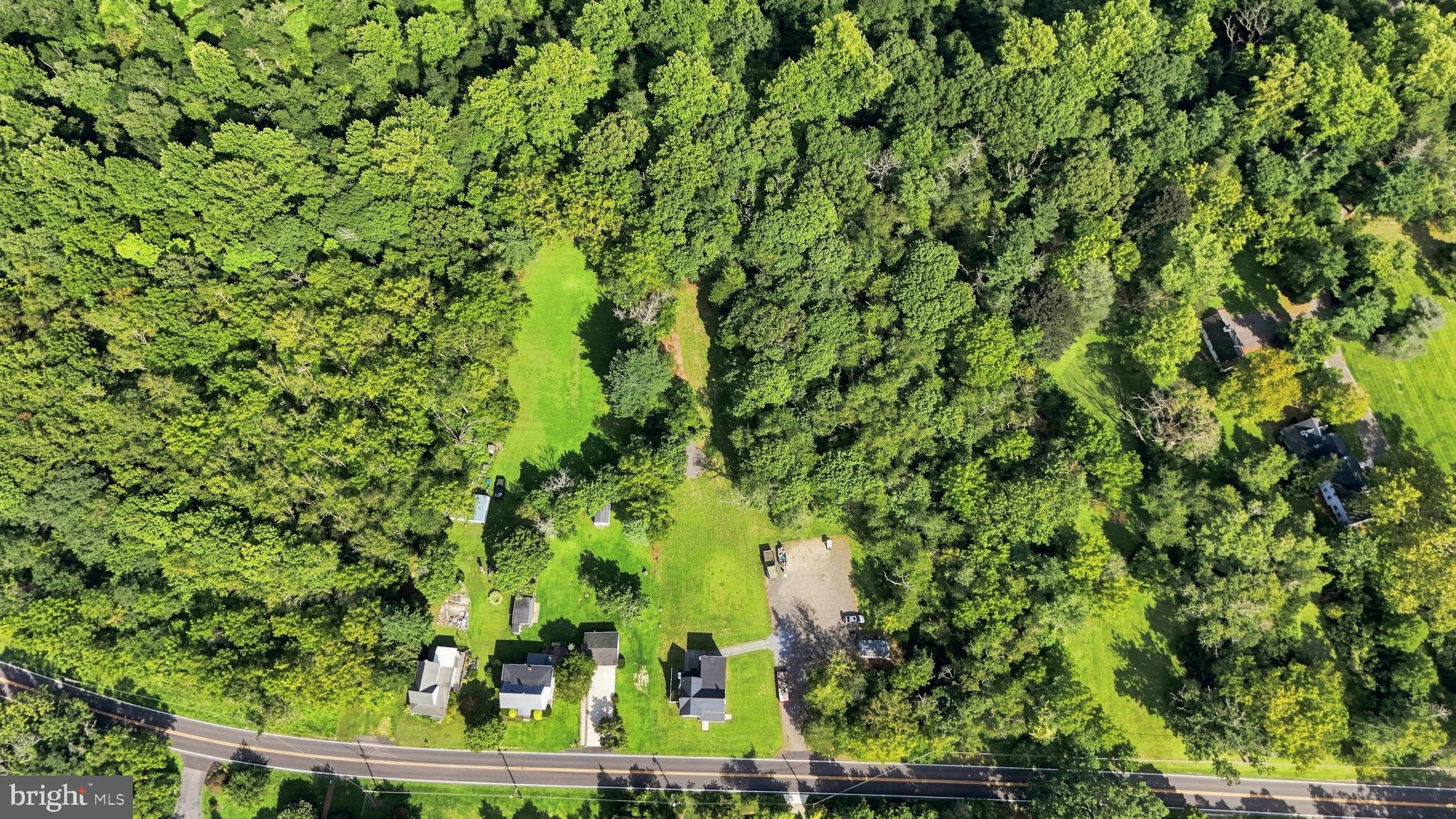 8 Seeley Road Bridgeton, NJ 08302 - Photo 37 of 44 Serene green oasis with homes nearby.