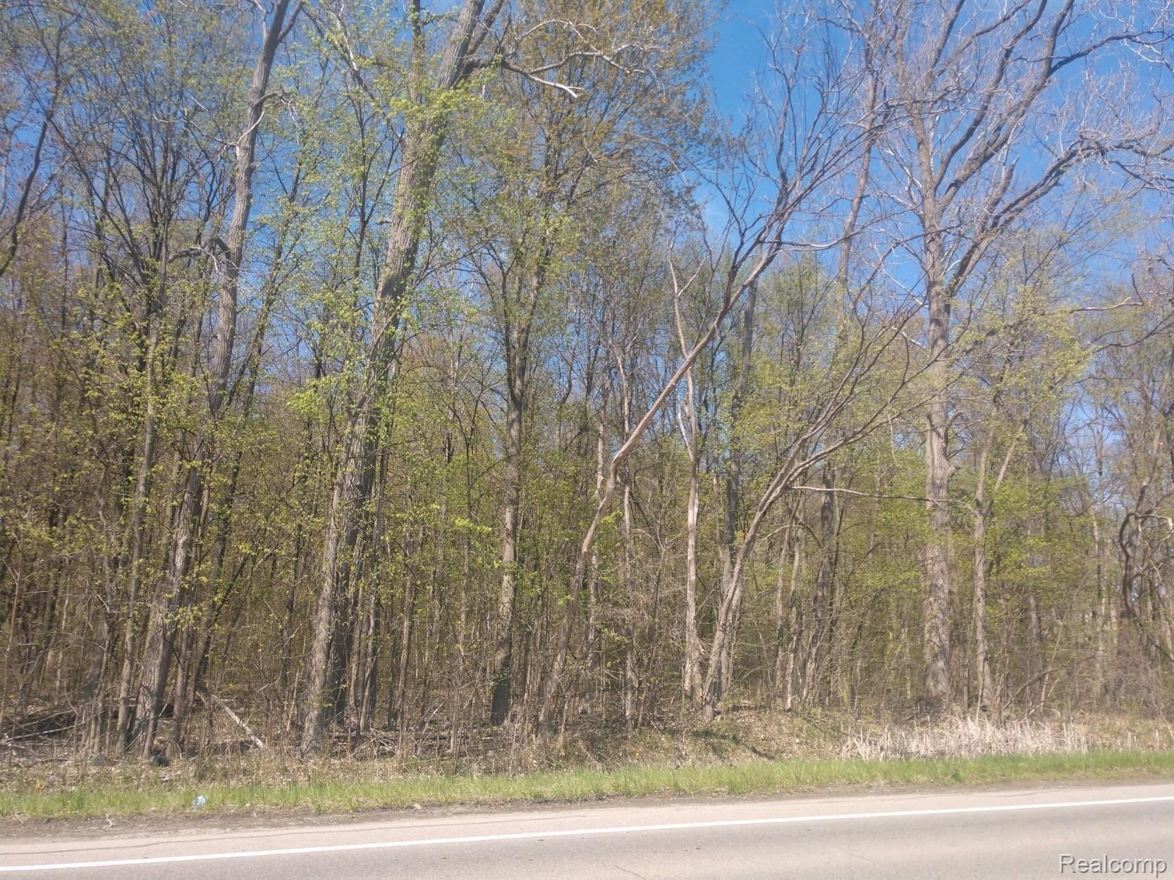 1 Sibley Road Romulus, MI 48174 - Photo 5 of 5 Sibley #008 (W) photo 6.JPG