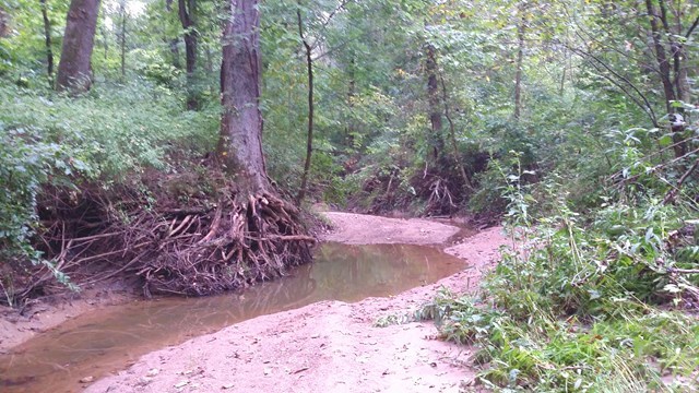 166 County Road Auxvasse, MO 65231 - Photo 8 of 27